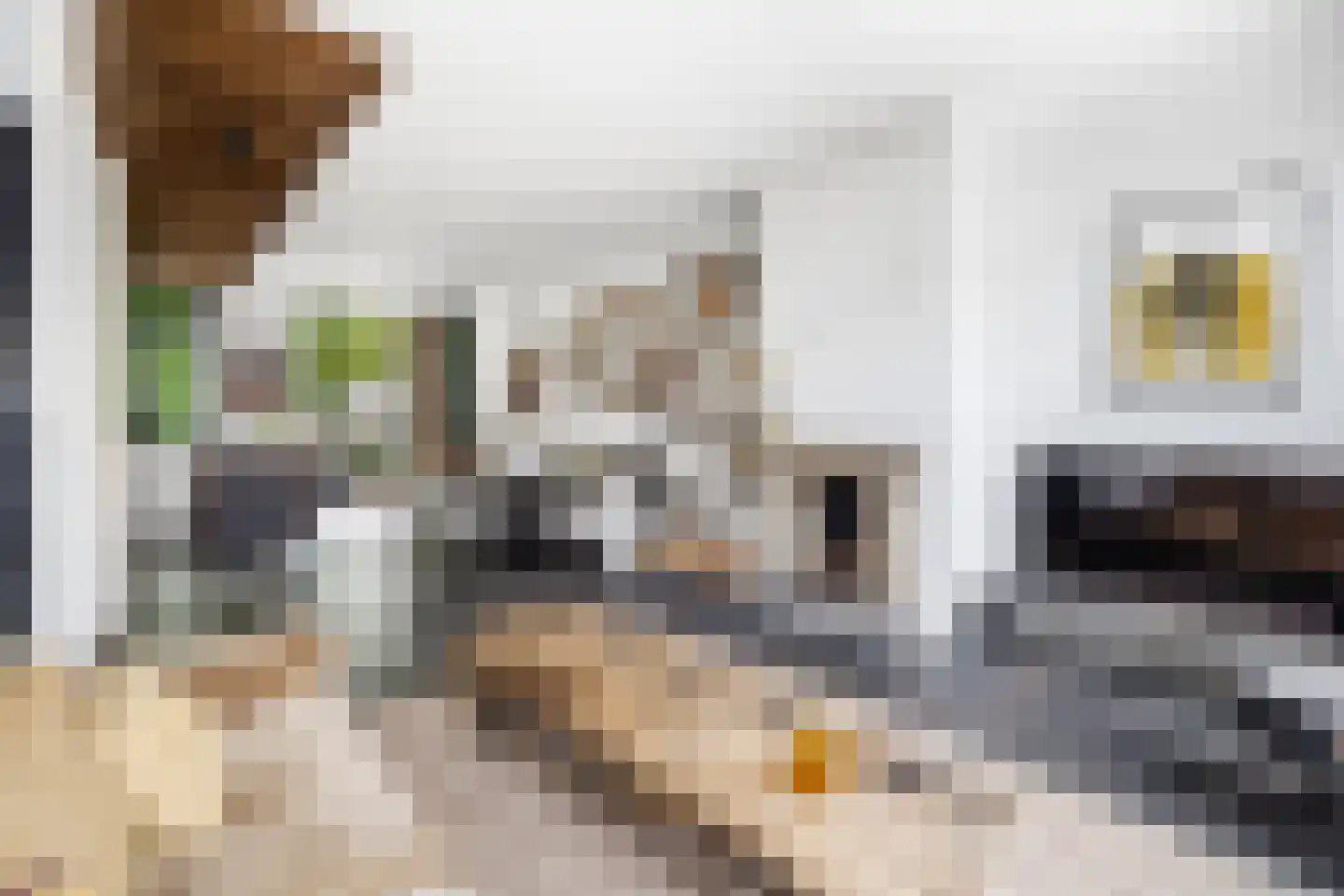 Nieuwe Schoolstraat 41 Den Haag thumbnail 18