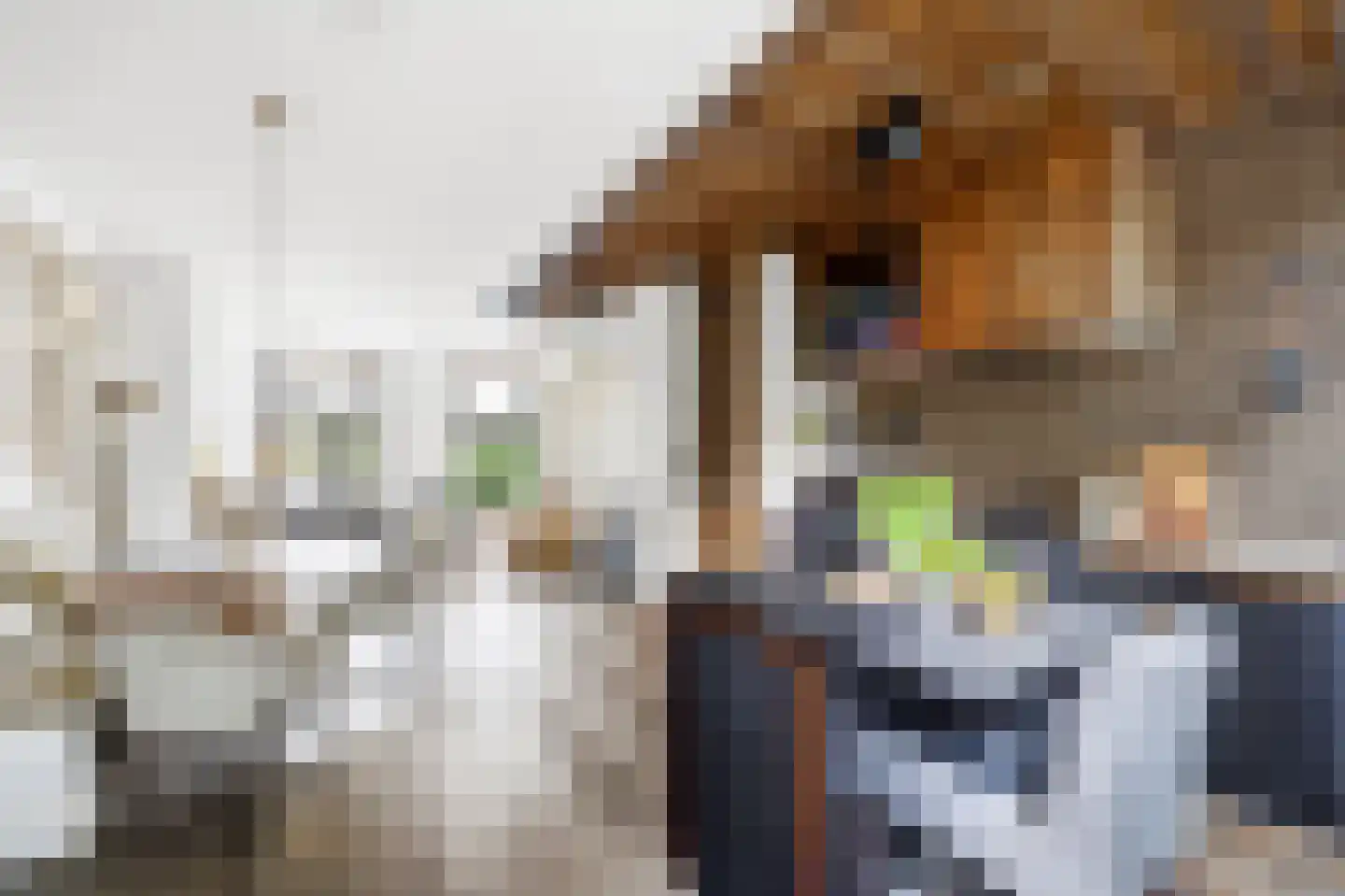 Nieuwe Schoolstraat 41 Den Haag thumbnail 20