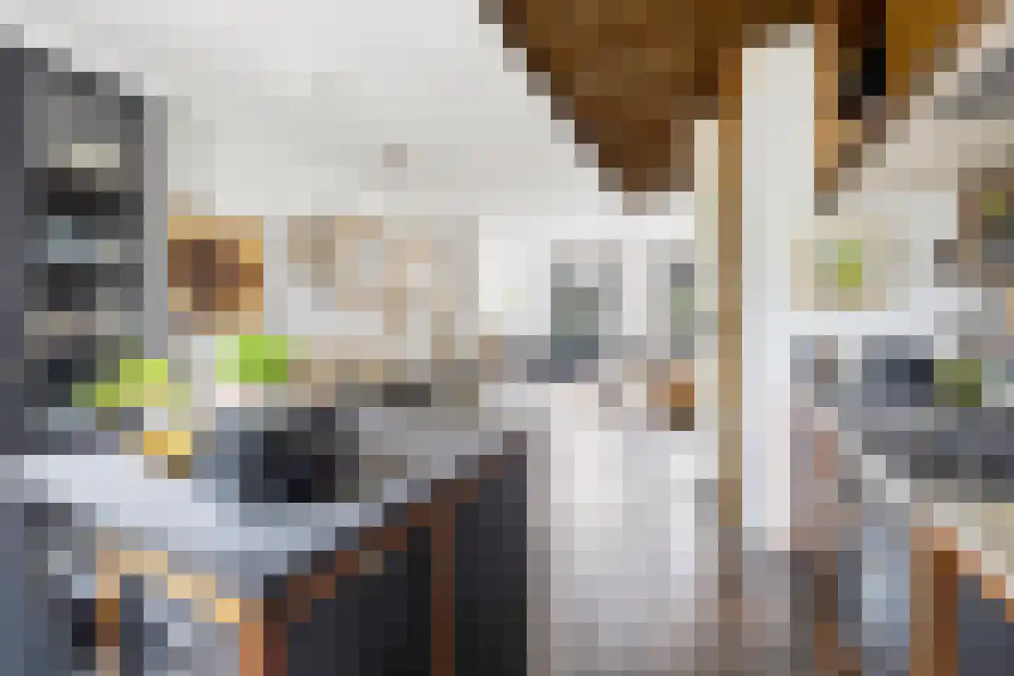 Nieuwe Schoolstraat 41 Den Haag thumbnail 21