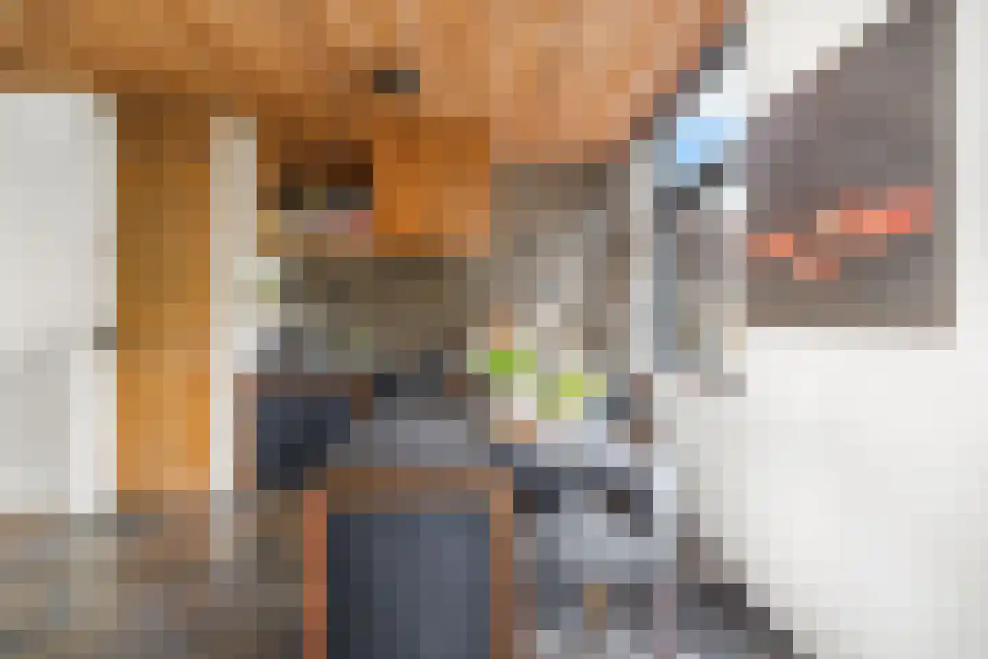Nieuwe Schoolstraat 41 Den Haag thumbnail 22