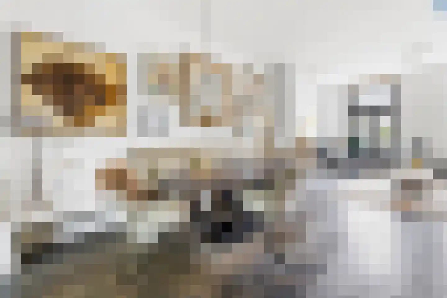Nieuwe Schoolstraat 41 Den Haag thumbnail 23