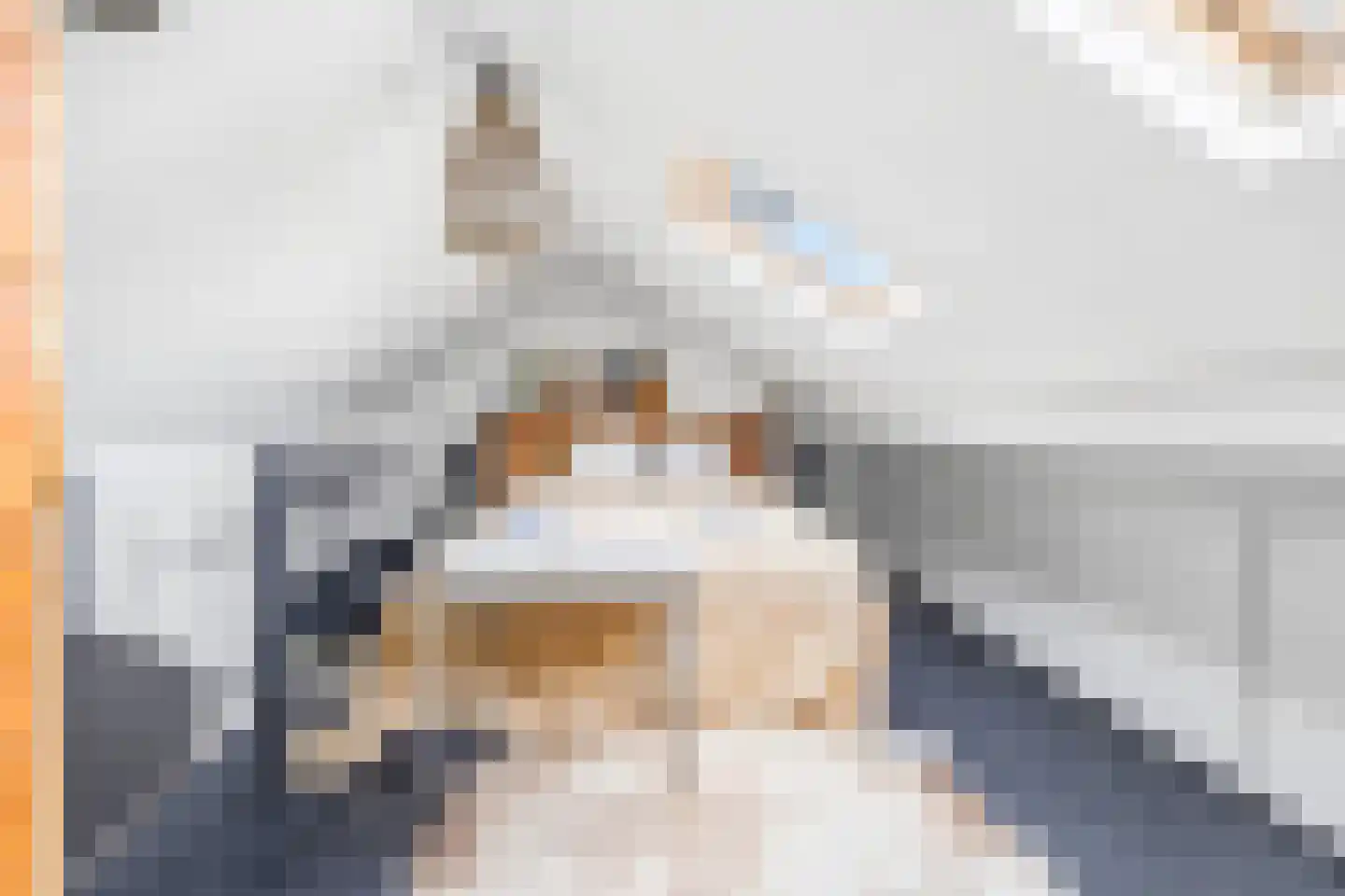 Nieuwe Schoolstraat 41 Den Haag thumbnail 31