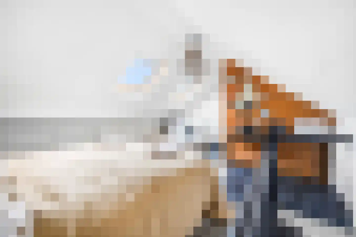 Nieuwe Schoolstraat 41 Den Haag thumbnail 33