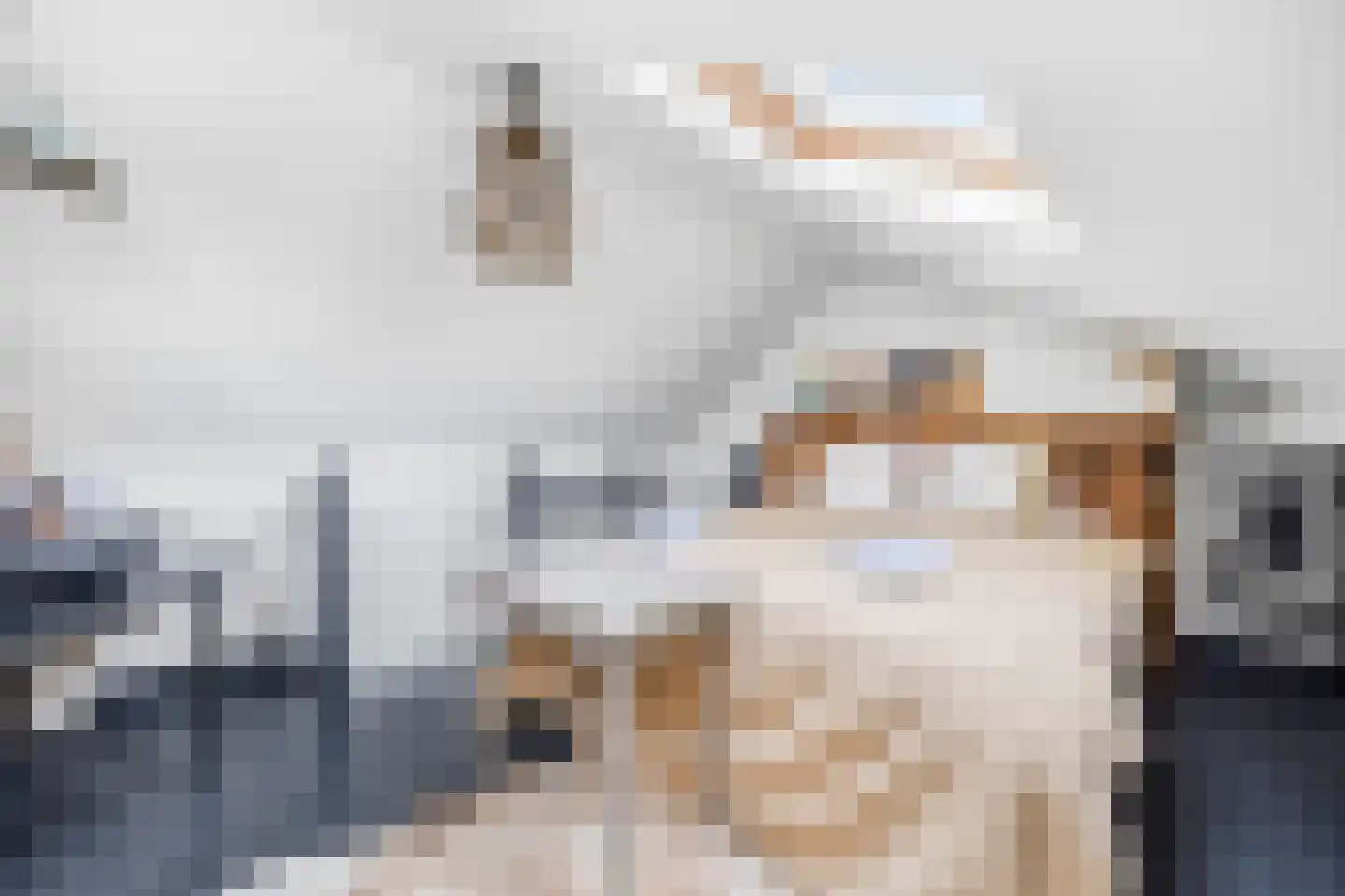 Nieuwe Schoolstraat 41 Den Haag thumbnail 34