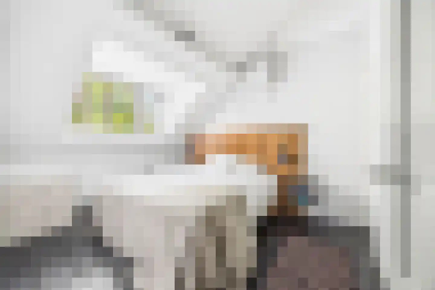 Nieuwe Schoolstraat 41 Den Haag thumbnail 35