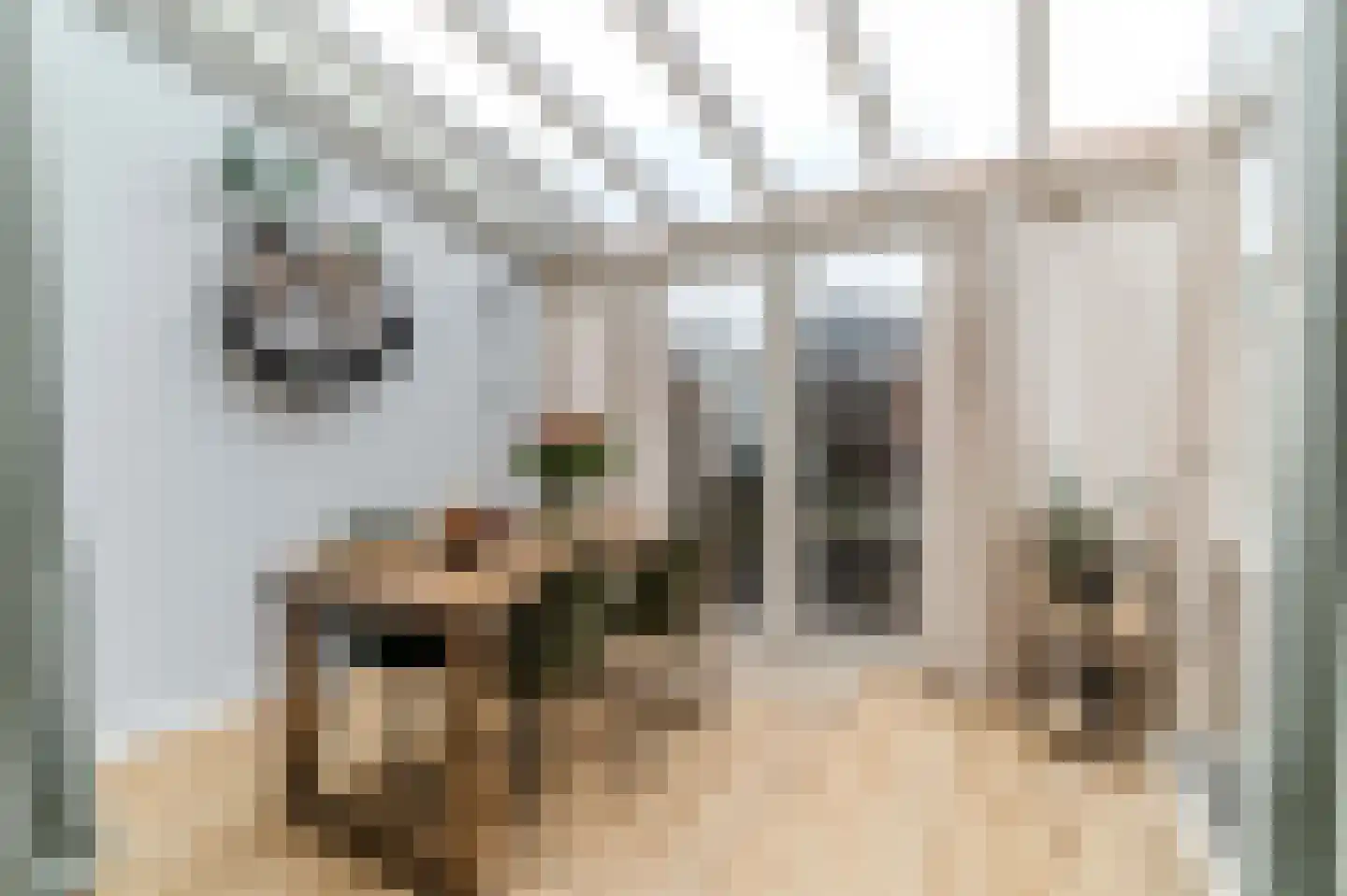 Nieuwe Schoolstraat 49 Delft thumbnail 13
