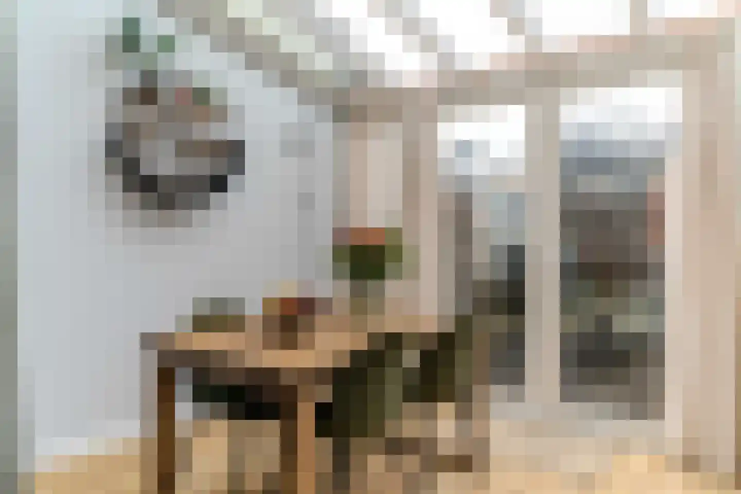 Nieuwe Schoolstraat 49 Delft thumbnail 14