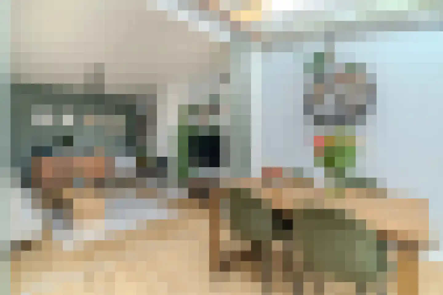 Nieuwe Schoolstraat 49 Delft thumbnail 15