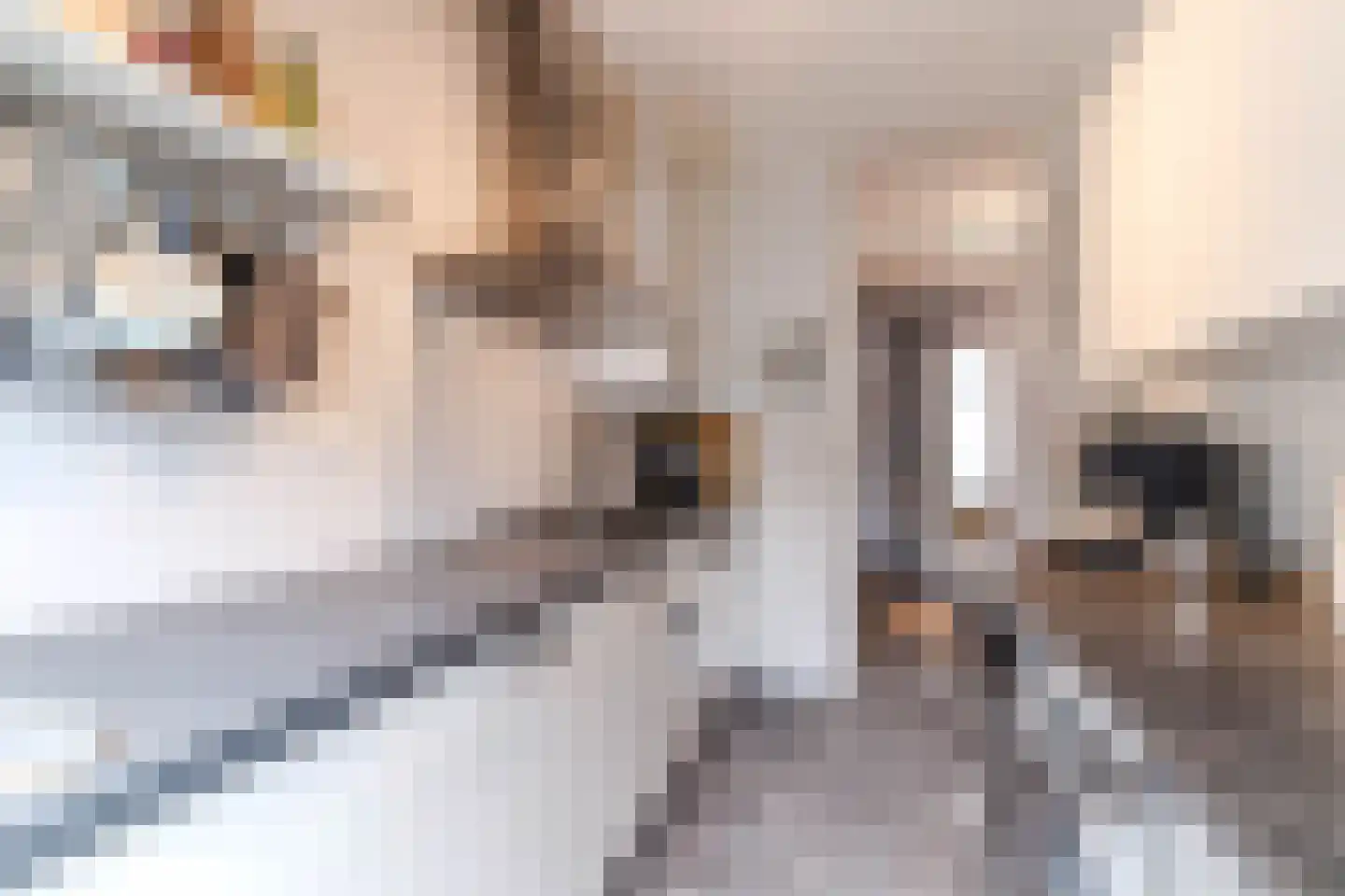 Nieuwe Schoolstraat 49 Delft thumbnail 18