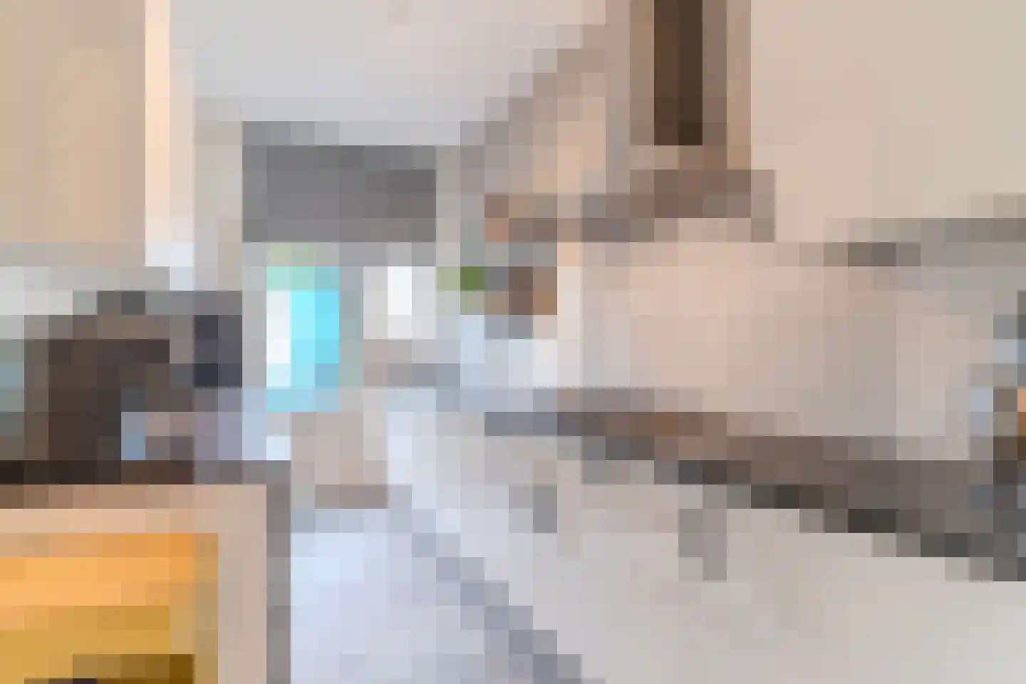 Nieuwe Schoolstraat 49 Delft thumbnail 4