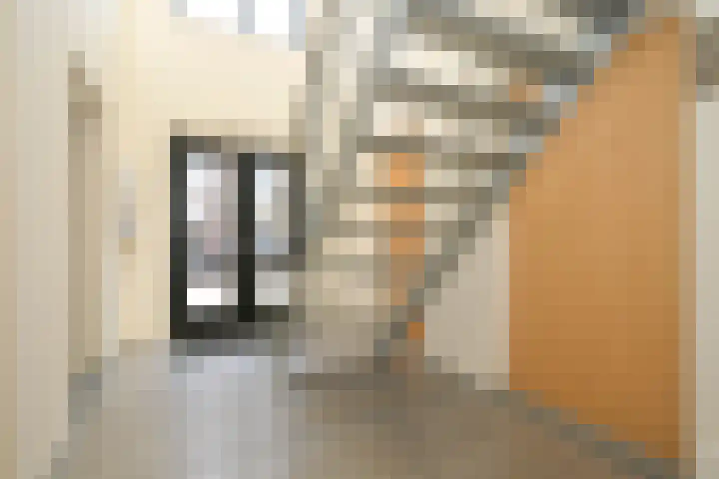 Nieuwe Schoolstraat 52 Den Haag thumbnail 11