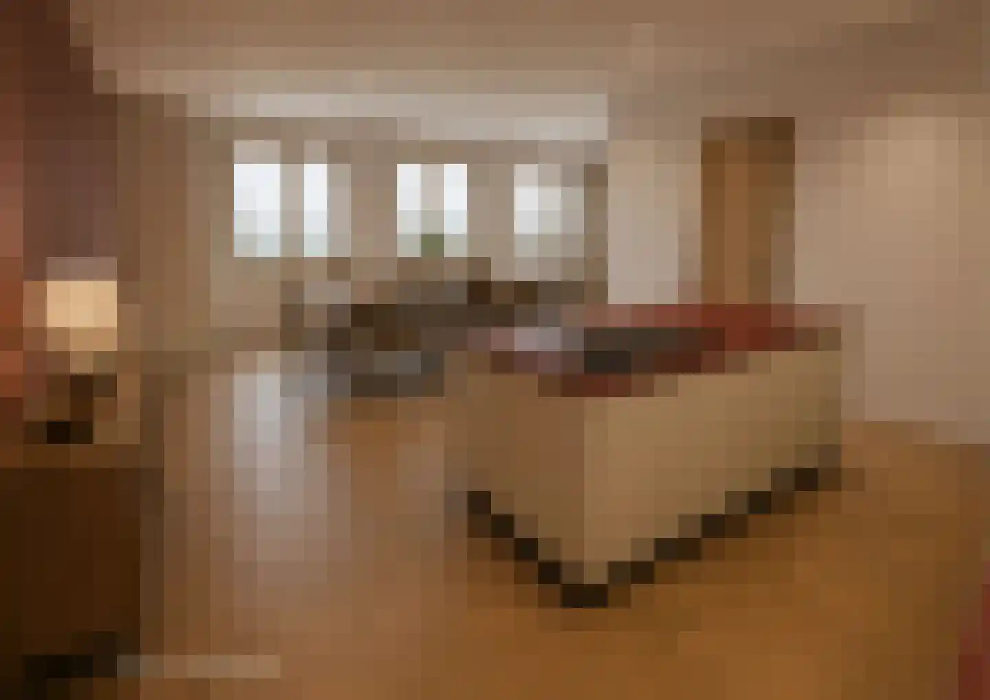 Nieuwe Schoolstraat 52 Den Haag thumbnail 13