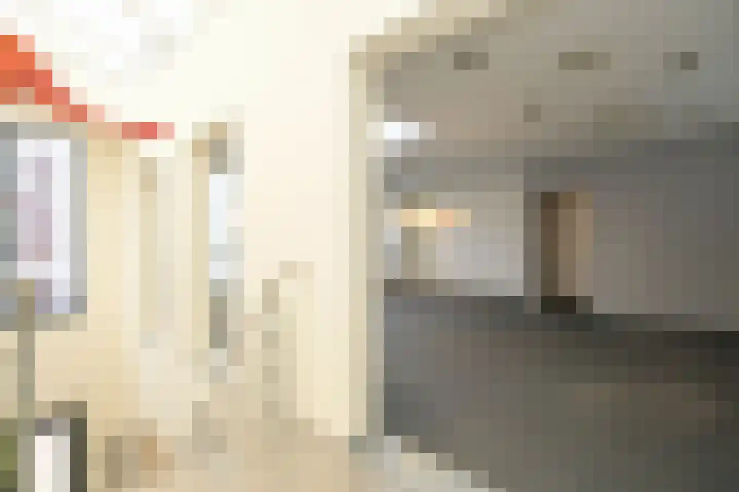 Nieuwe Schoolstraat 52 Den Haag thumbnail 18