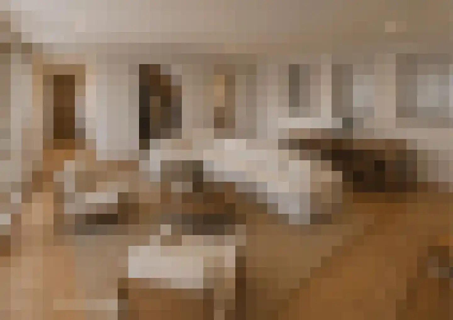 Nieuwe Schoolstraat 52 Den Haag thumbnail 26
