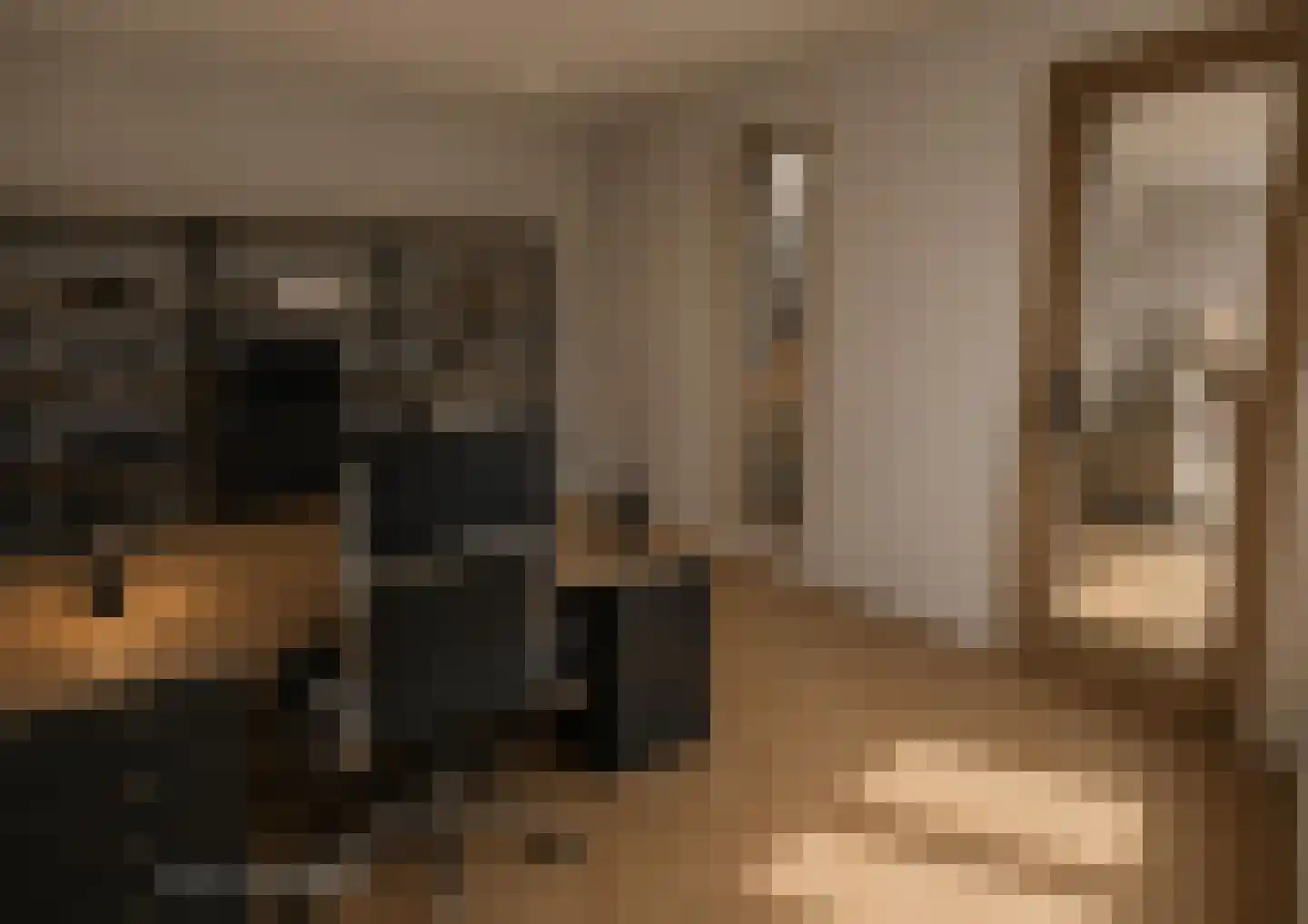 Nieuwe Schoolstraat 52 Den Haag thumbnail 28