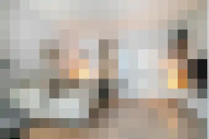 Nieuwe Schoolstraat 54 Delft thumbnail 11