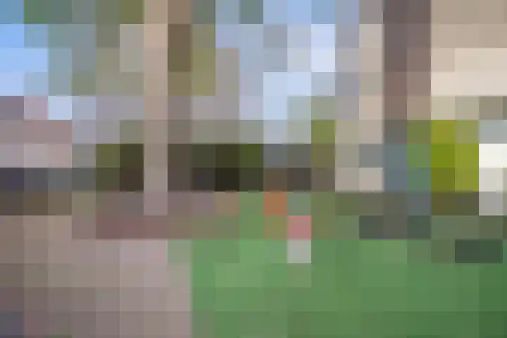 Nieuwe Schoolstraat 54 Delft thumbnail 22
