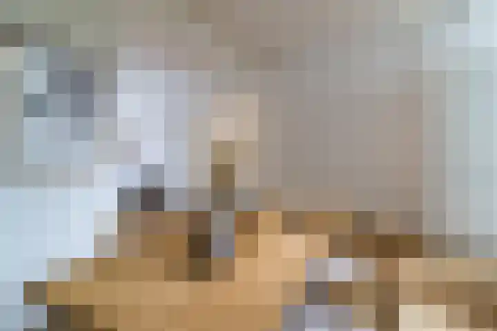 Nieuwe Schoolstraat 6 Delft thumbnail 11