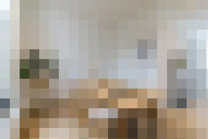 Nieuwe Schoolstraat 6 Delft thumbnail 12