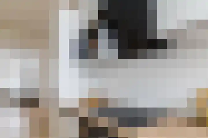 Nieuwe Schoolstraat 6 Delft thumbnail 15