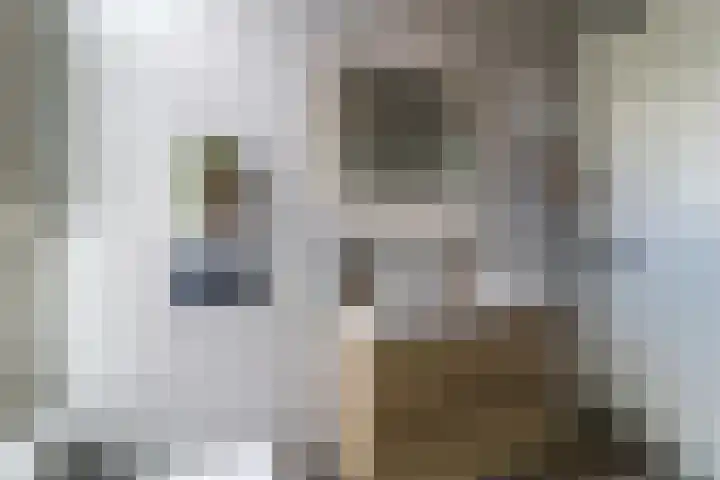 Nieuwe Schoolstraat 6 Delft thumbnail 22
