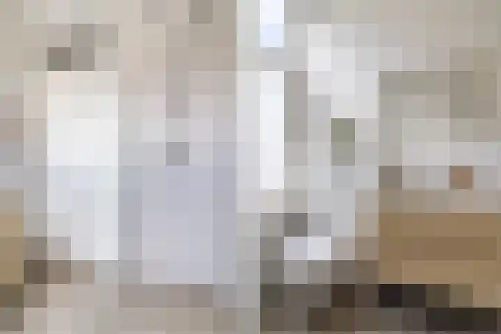 Nieuwe Schoolstraat 6 Delft thumbnail 26