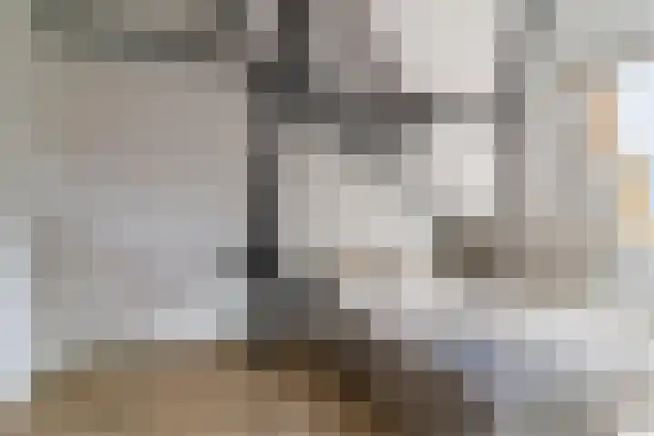 Nieuwe Schoolstraat 6 Delft thumbnail 27
