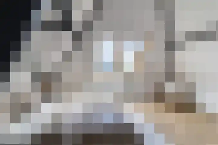 Nieuwe Schoolstraat 6 Delft thumbnail 28