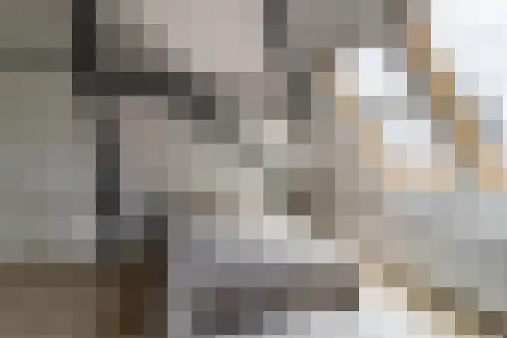 Nieuwe Schoolstraat 6 Delft thumbnail 29