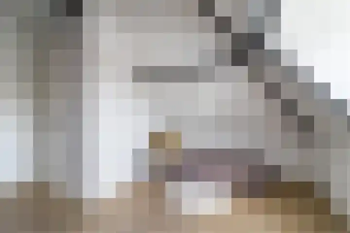 Nieuwe Schoolstraat 6 Delft thumbnail 31