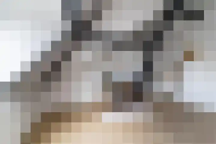 Nieuwe Schoolstraat 6 Delft thumbnail 32