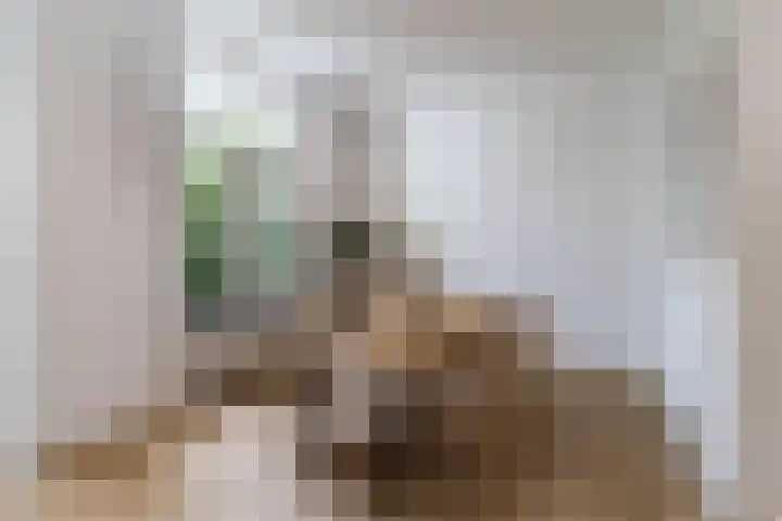 Nieuwe Schoolstraat 6 Delft thumbnail 9