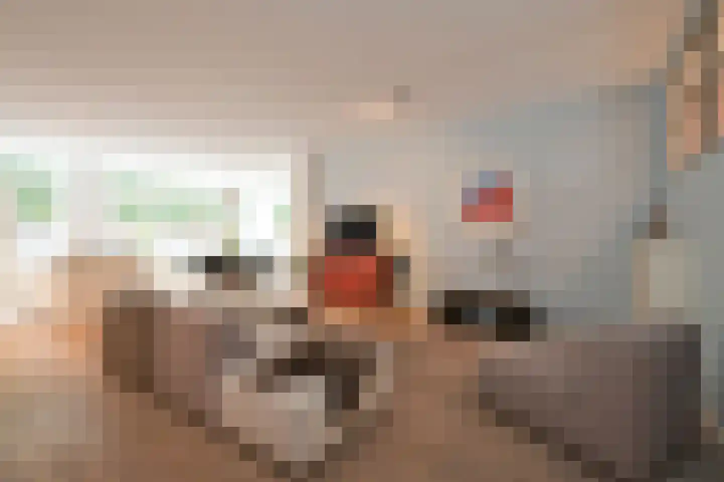 Nieuwe Schoolstraat 63 Den Haag thumbnail 11