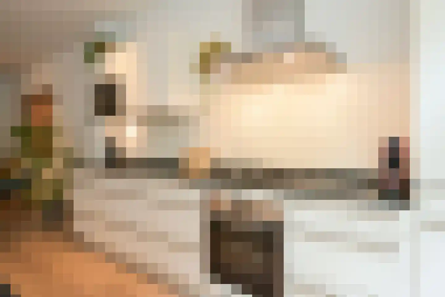 Nieuwe Schoolstraat 63 Den Haag thumbnail 17