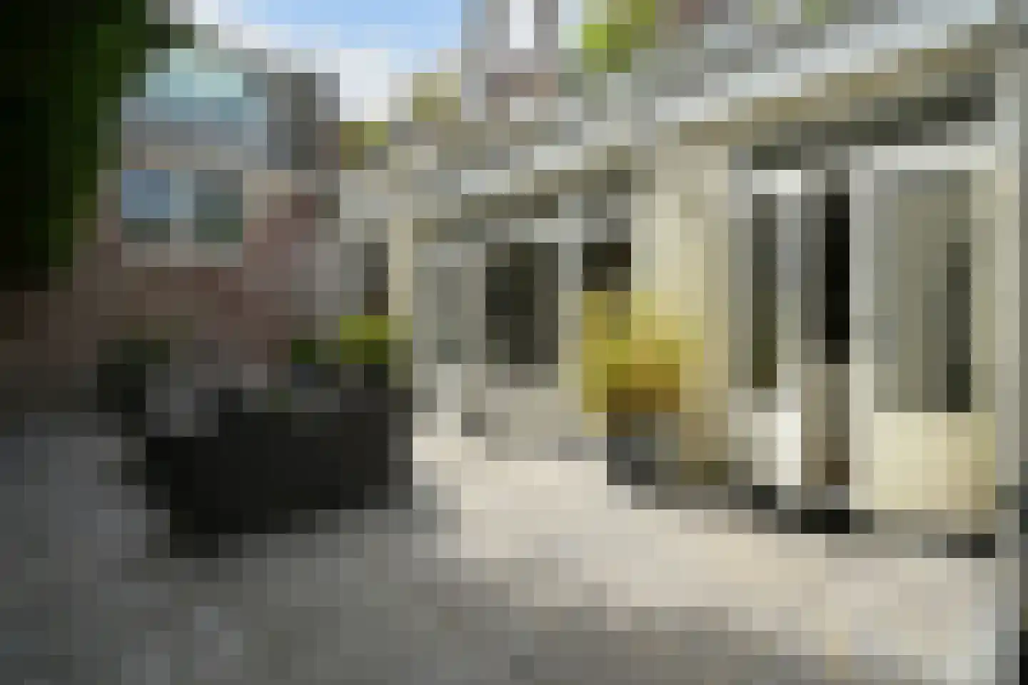 Nieuwe Schoolstraat 63 Den Haag thumbnail 25