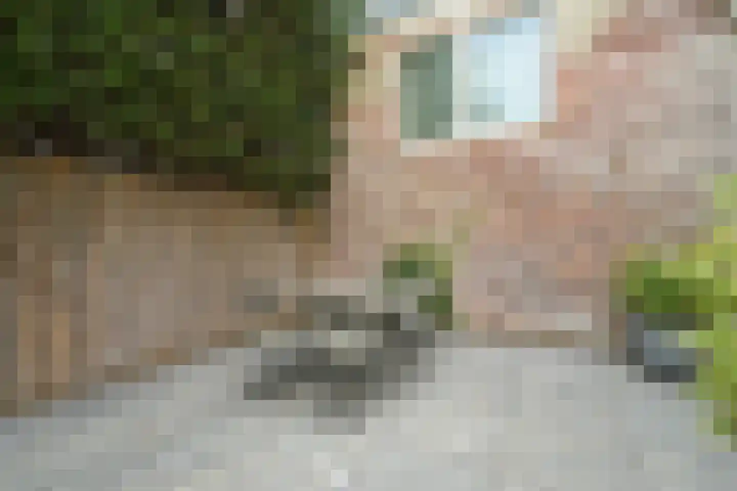 Nieuwe Schoolstraat 63 Den Haag thumbnail 26