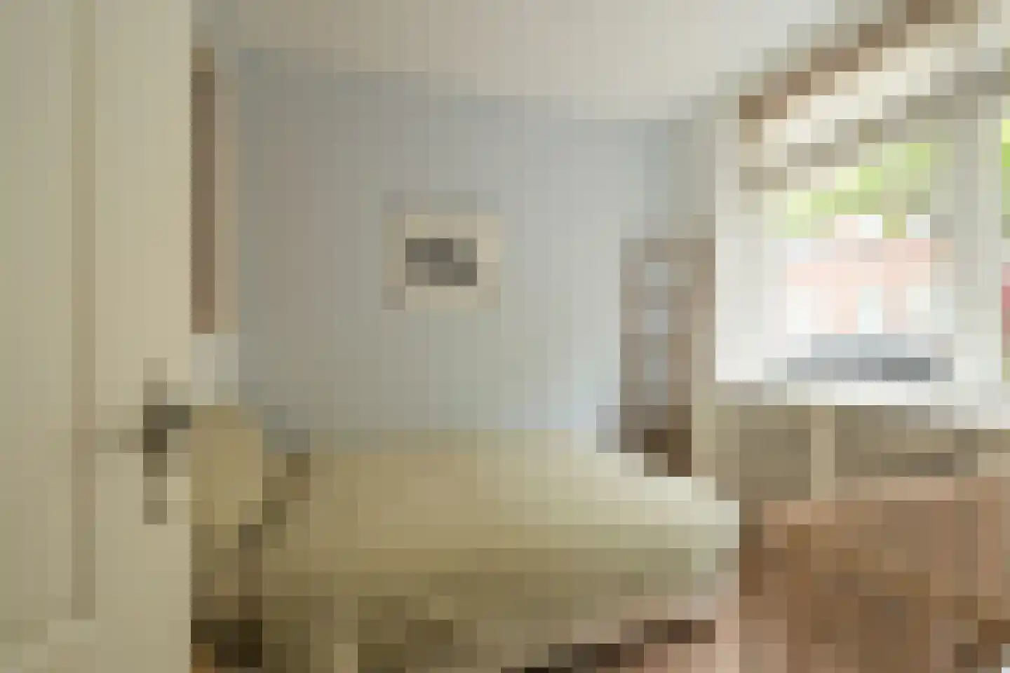 Nieuwe Schoolstraat 63 Den Haag thumbnail 30