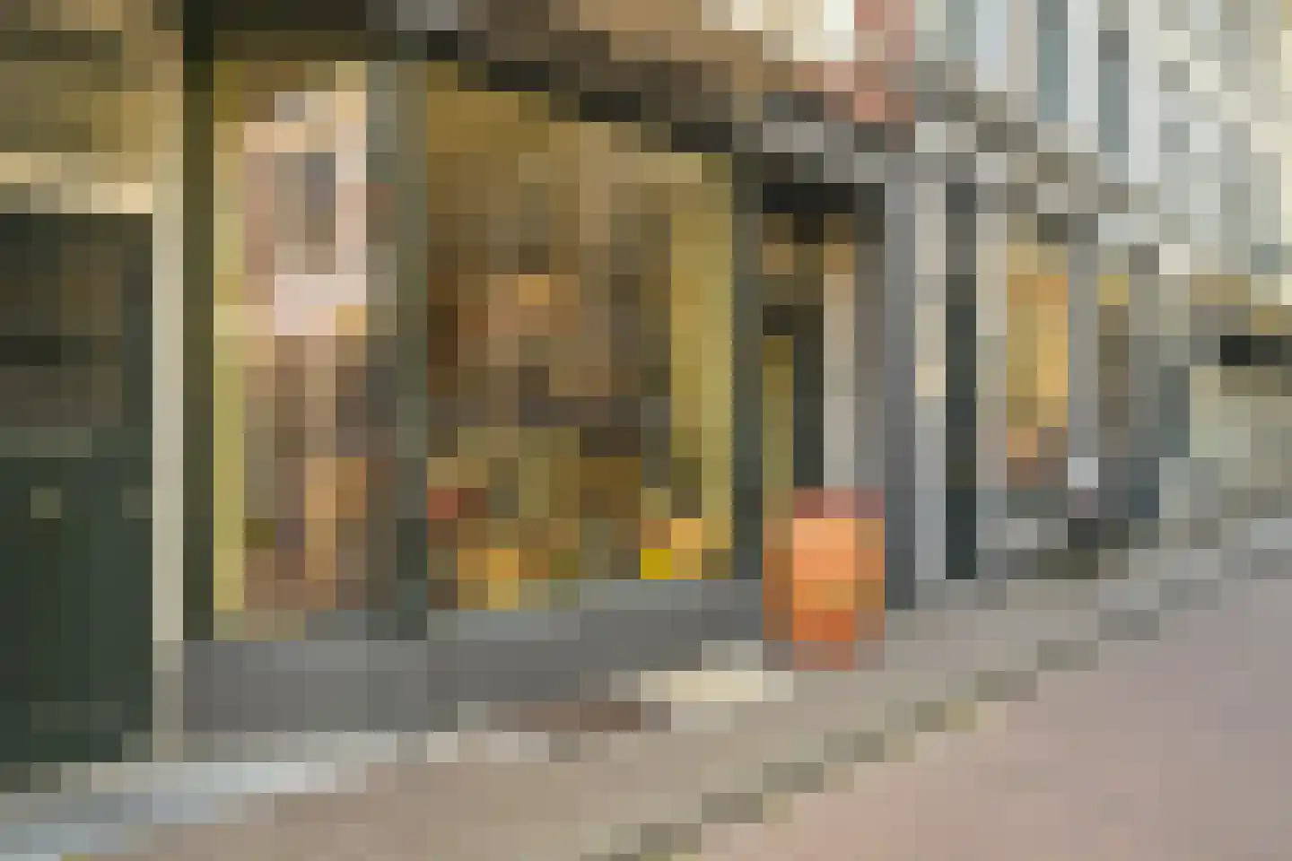Nieuwe Schoolstraat 63 Den Haag thumbnail 37