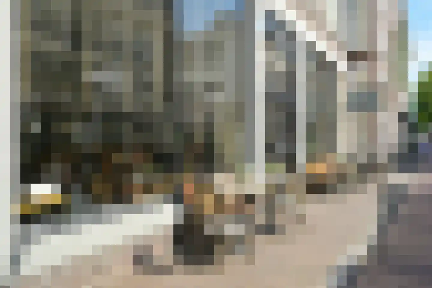 Nieuwe Schoolstraat 63 Den Haag thumbnail 38