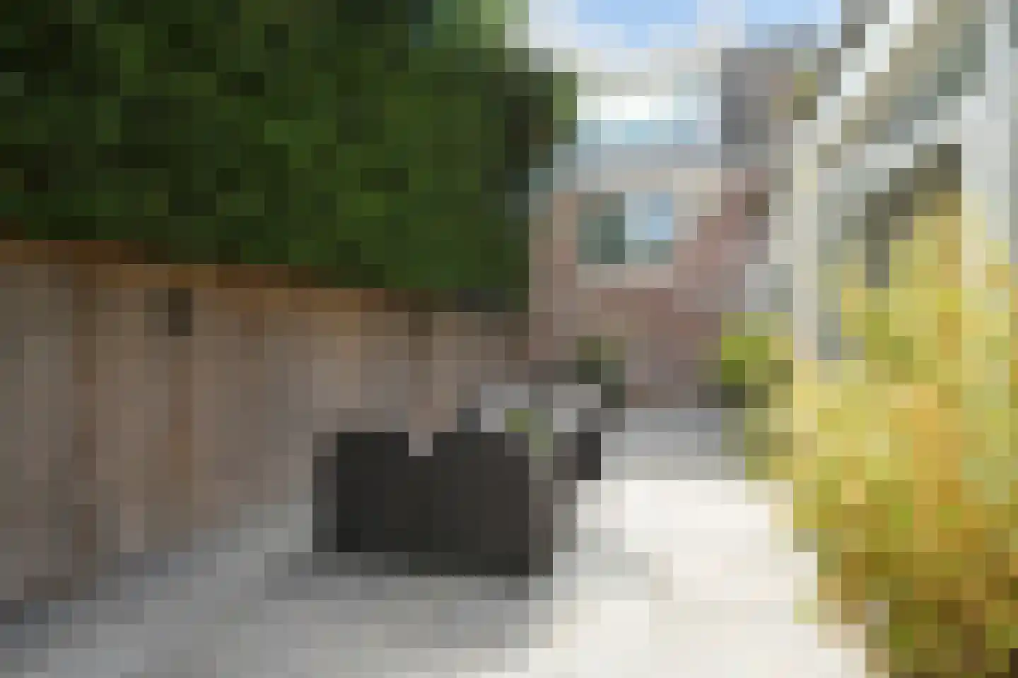 Nieuwe Schoolstraat 63 Den Haag thumbnail 5
