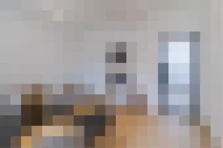 Nieuwe Schoolstraat 8 Delft thumbnail 10