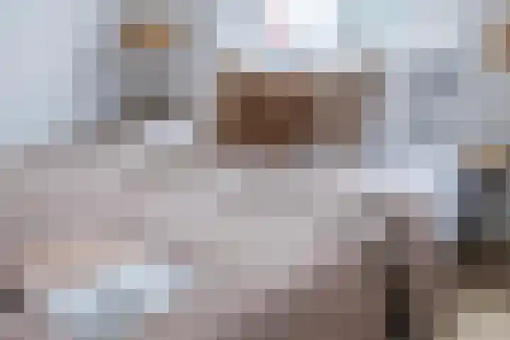 Nieuwe Schoolstraat 8 Delft thumbnail 17