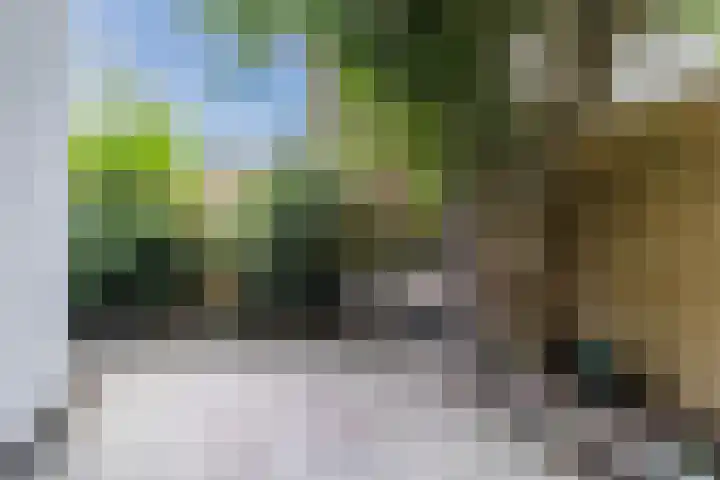 Nieuwe Schoolstraat 8 Delft thumbnail 21