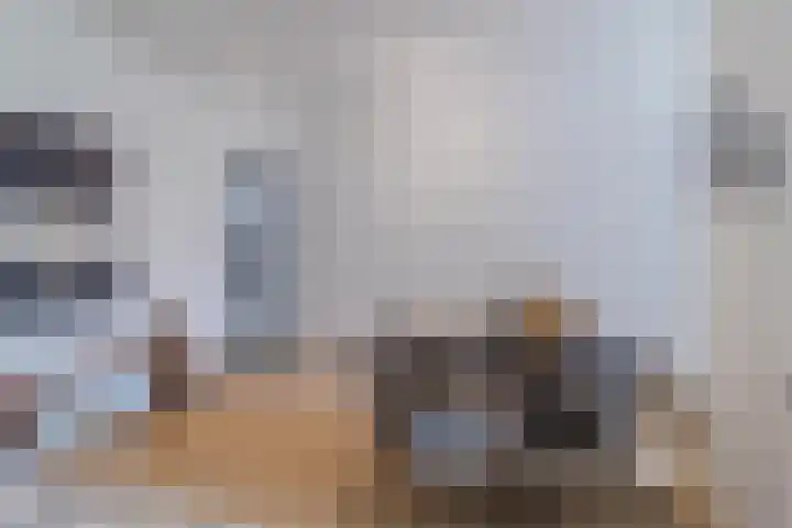Nieuwe Schoolstraat 8 Delft thumbnail 9