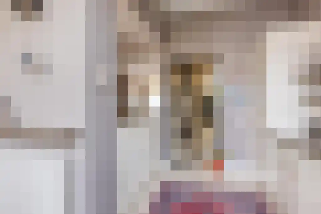 Nieuwe Schoolstraat 87 Den Haag thumbnail 10