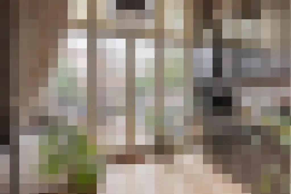 Nieuwe Schoolstraat 87 Den Haag thumbnail 12