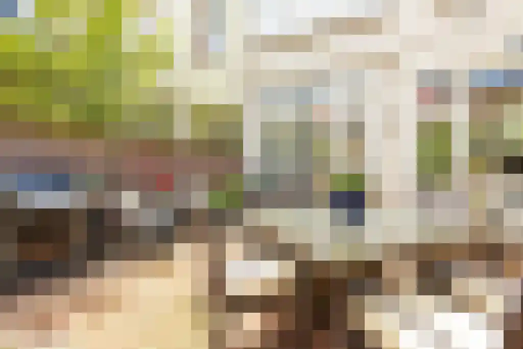 Nieuwe Schoolstraat 87 Den Haag thumbnail 14