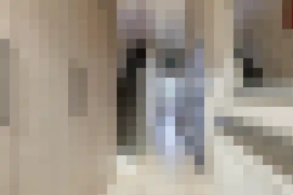 Nieuwe Schoolstraat 87 Den Haag thumbnail 21
