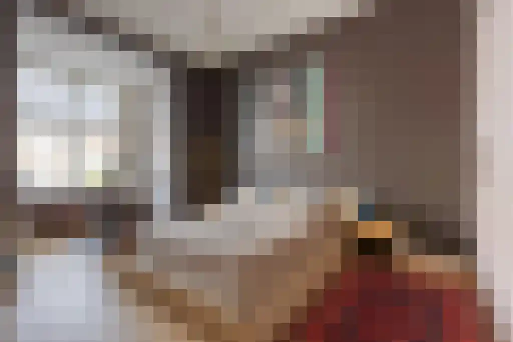 Nieuwe Schoolstraat 87 Den Haag thumbnail 22