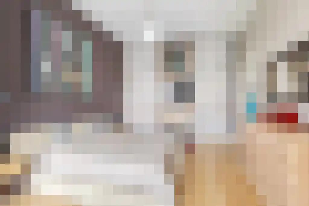 Nieuwe Schoolstraat 87 Den Haag thumbnail 24